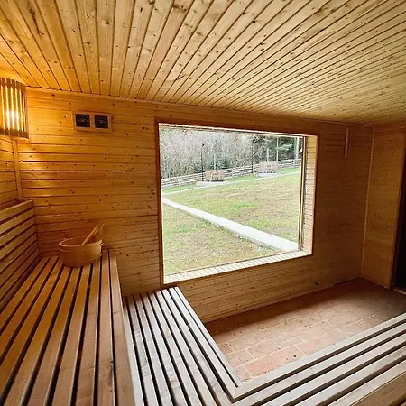 Bed & Breakfast Forest