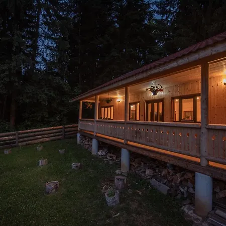 Forest Bed & Breakfast